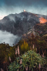 Pico do Arieiro