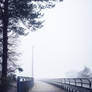 One Foggy Afternoon (05)