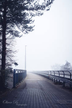 One Foggy Afternoon (05)