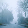 One Foggy Afternoon (12)