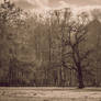 Sepia Saturday - Feeling Nostalgic (4K)