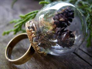 mini terrarium ring