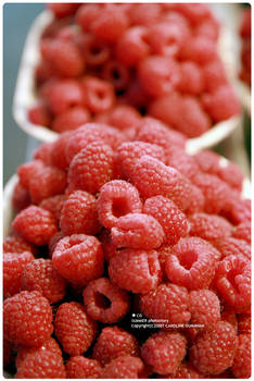 raspberry