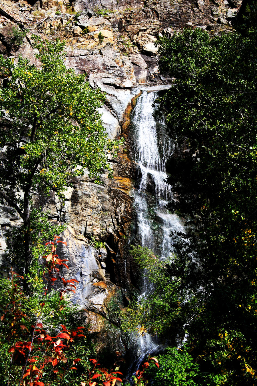 Bridal Veil