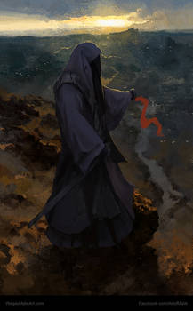 niqabi warrior