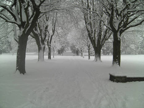 Snowy Park