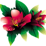 Tropical Flower HQ PNG