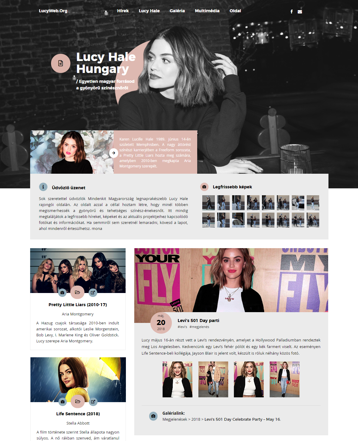 LucyWeb WordPress Theme