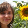 Let me be a sunflower too