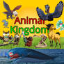 Animal Kingdom (Book)
