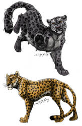 snow leopard and cheetah