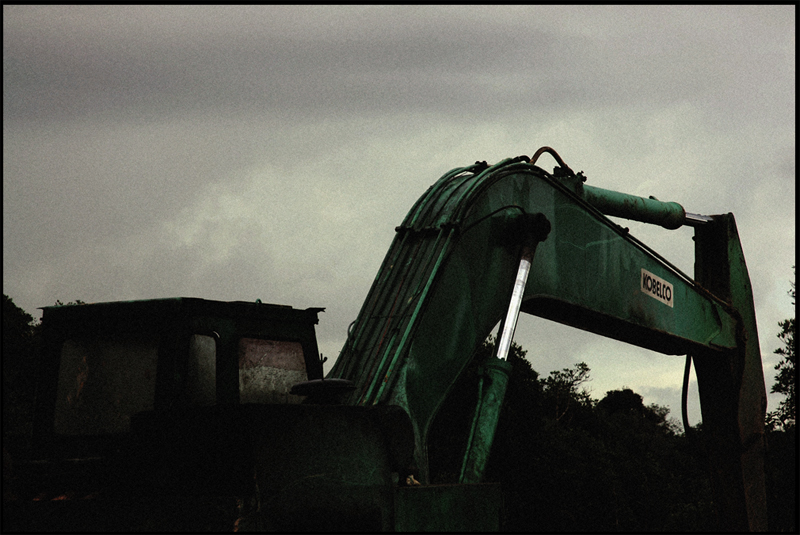 what destroyed the forest