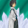 Gray Fullbuster