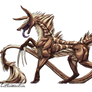 Parasite