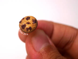 Chocolate Chip Cookie