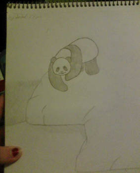 panda's:unfinished