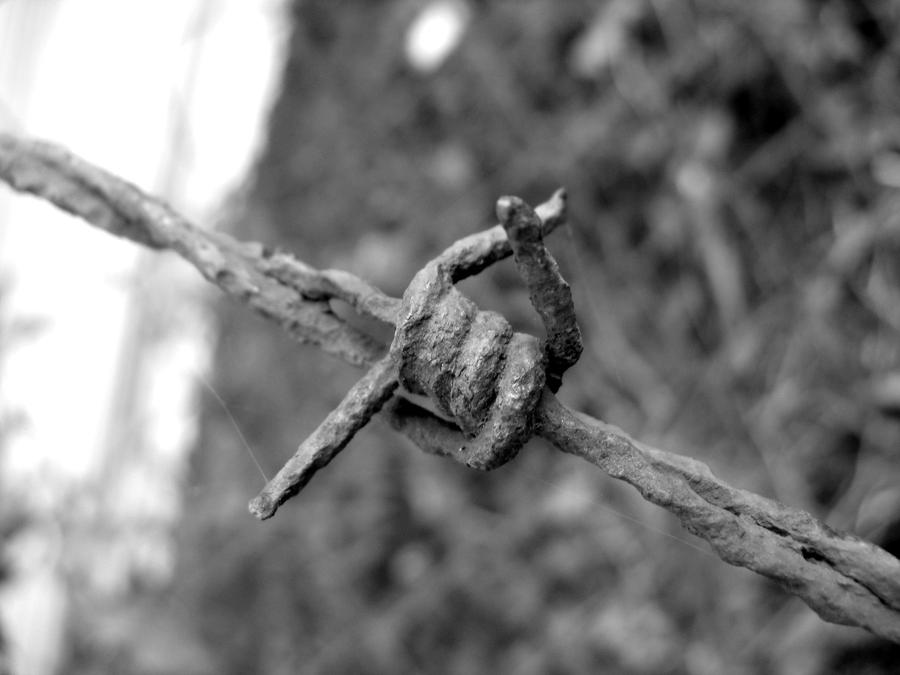 devils-rope by happymaster on DeviantArt