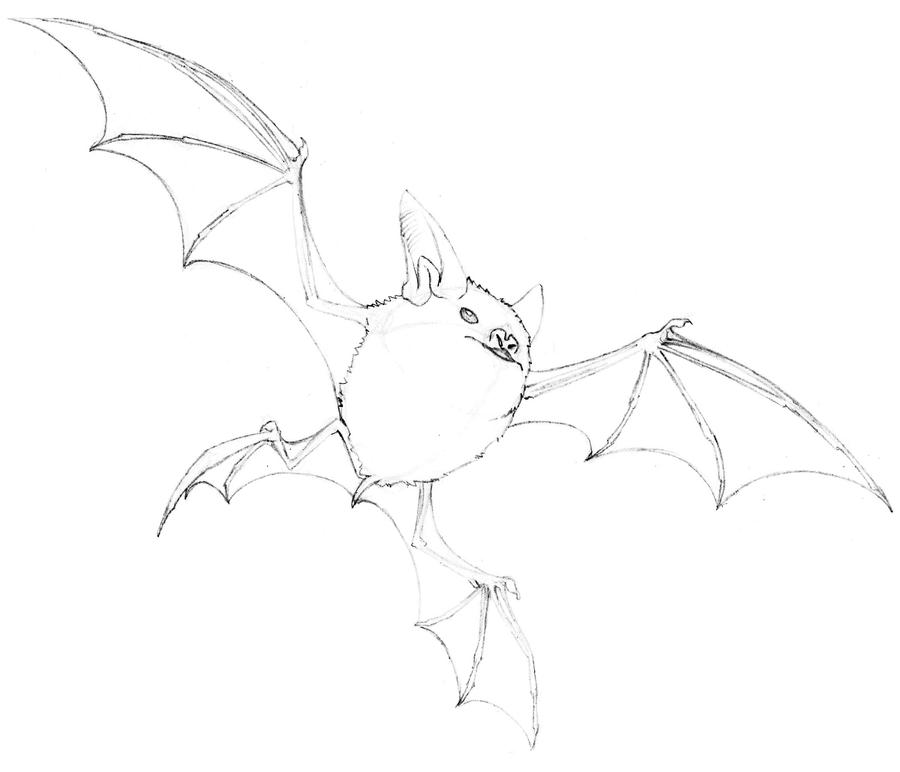 Realistic Crobat