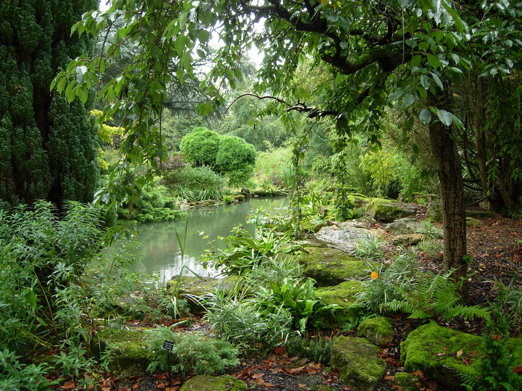 252 - garden by WolfC-Stock