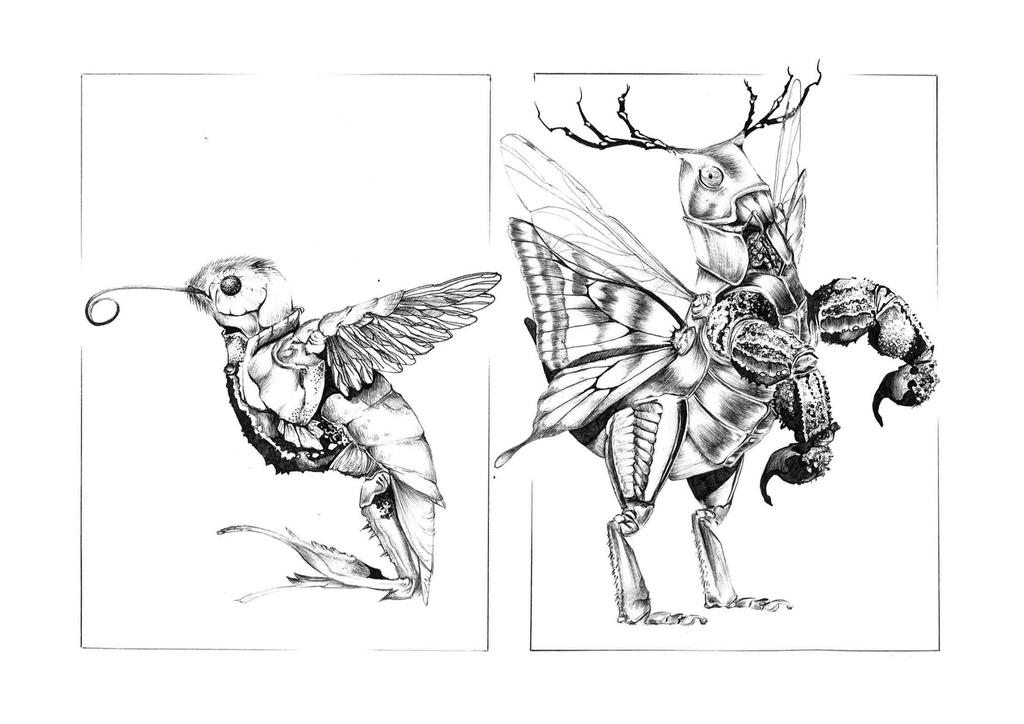 Insect Hybrids by Tewanna on DeviantArt