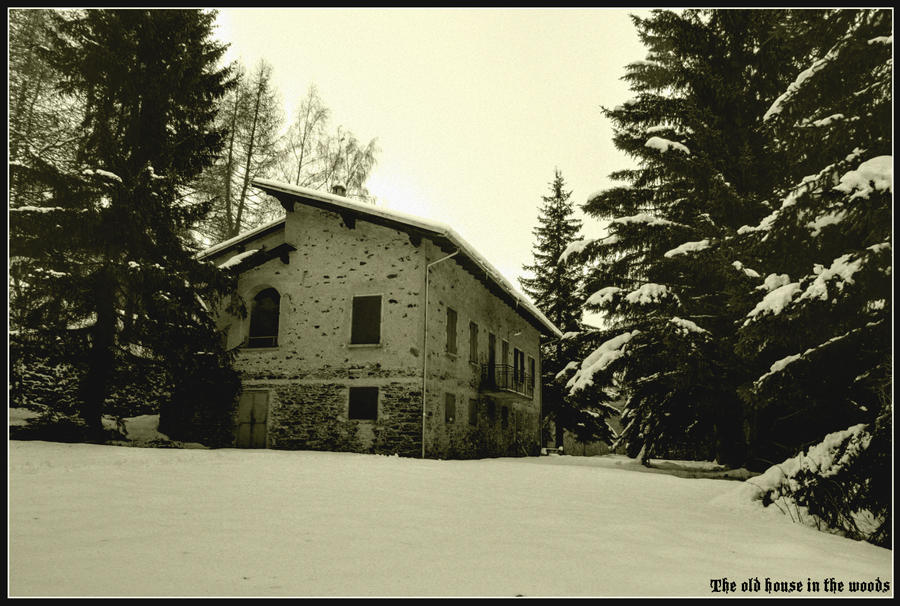 The old house in the woods