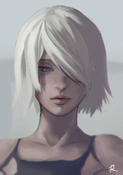 A2