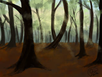 Woods Landscape Practice by BaronVolkov