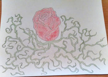 Rose Vine