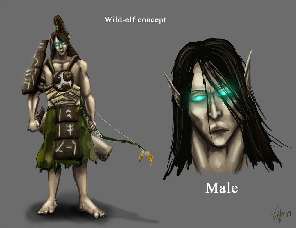 Net Lizard Wild-elf concept by Netlizard on DeviantArt
