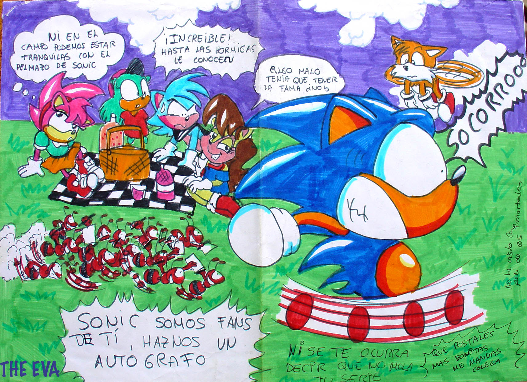 Therealsonicfan Rave fans by TheEvaFAN on DeviantArt