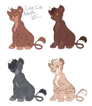 adopts . lions pt1 1/4 open !