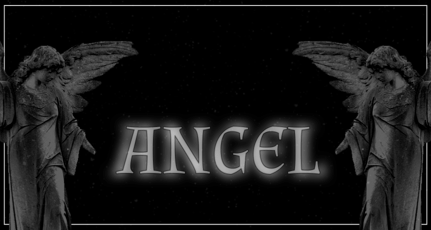 v4 angel showcase