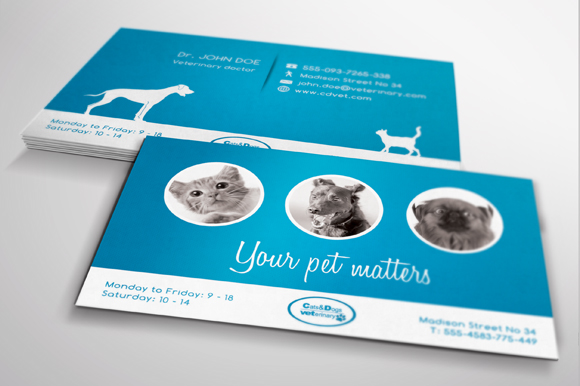 Veterinary business card
