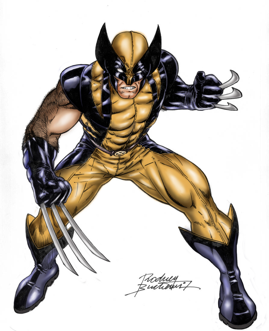 wolverine color by me by shoofy29 on DeviantArt