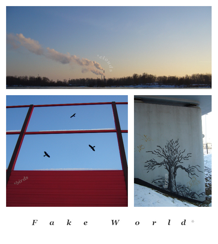 Fake world