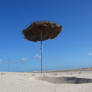 Djerba, Tunis 2007