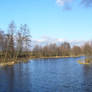 Warm winter
