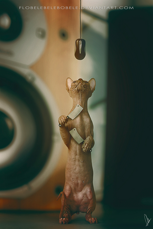 Cat Trap
