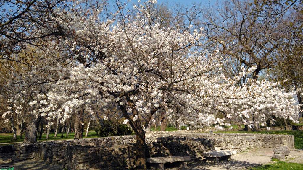 Glorious Spring by lilianadesign on DeviantArt