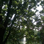 Img 20250607 092330 042