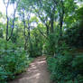 Img 20260606 092812 003