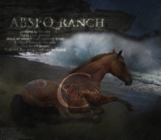 ABSPQ Ranch