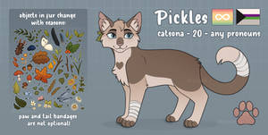 Pickles - 2023 reference sheet