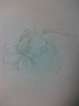 Timed School Flower Doodle