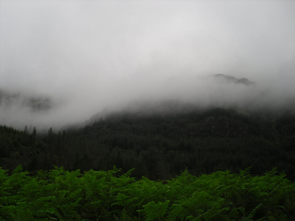 Fog on the mountains 1