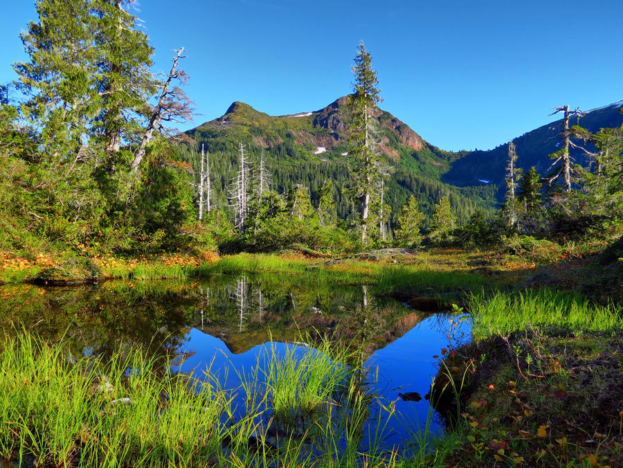 Alaskan Serenity