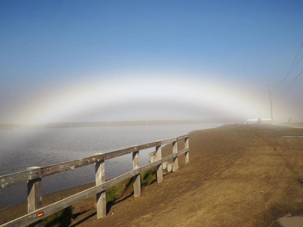 Fogbow