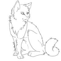 Free semi- realism Cat lineart