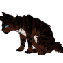 Angsty Hawkfrost