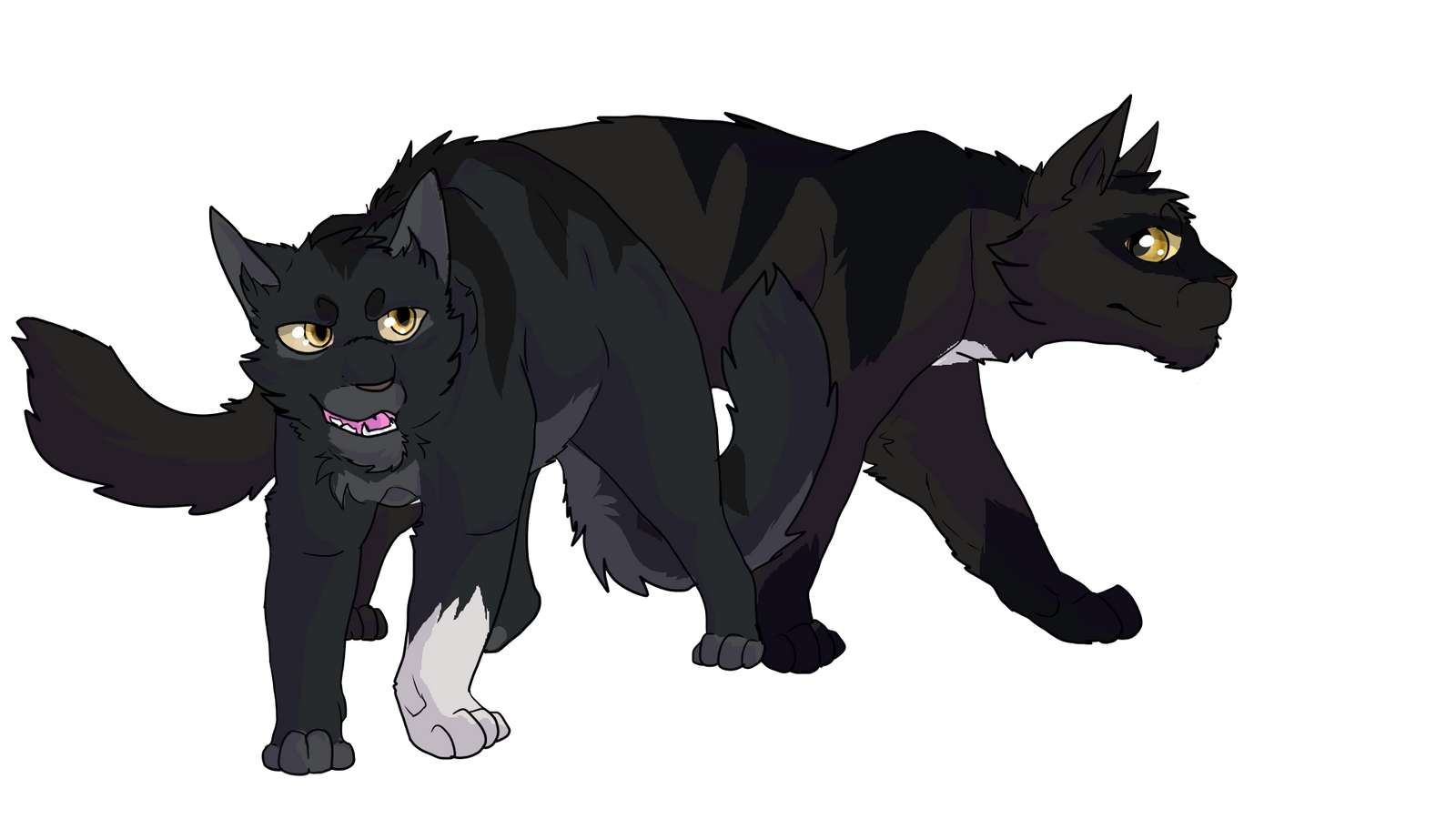 Wolfpaw and Nightpaw